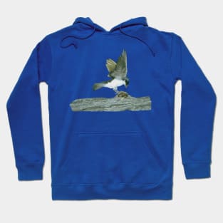 Bird On A Log Hoodie